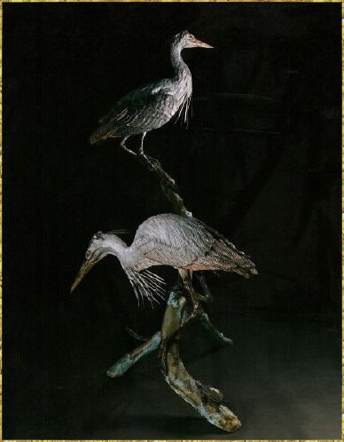 Blue Heron pair